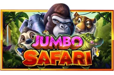 Cara bermain Bingo di shio77 – panduan memilih tiket dan ruang Bingo online